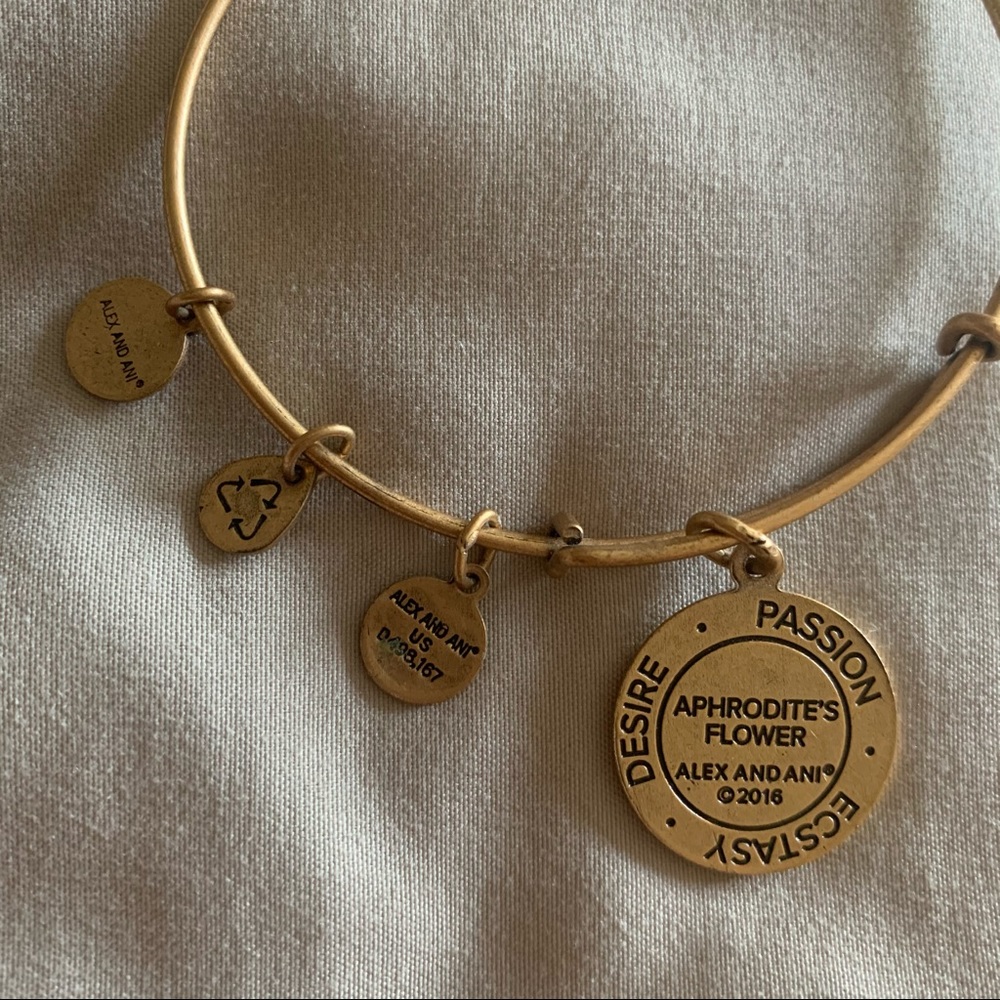 Alex & Ani bangle - Picture 5 of 5